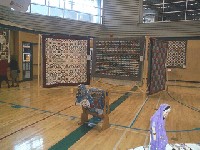 #337. Quilt Show - Young man's fancy, braid quilt, chicken quilt
