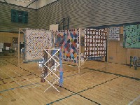 #347. Quilt Show - Dobbins fan, court house steps, snowball quilt