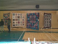 #349. Quilt Show - Court house step, 2 friendship quilts, tudpo plaid