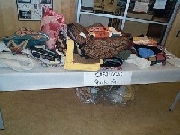 #384. Conference - Castlegar Quilters Guild