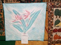 #542. Close Ups - 2nd clothes line (lilly)