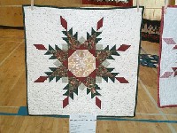 #550. Close Ups - 2nd clothes line (red/green snow flake)