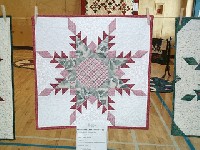 #551. Close Ups - 2nd clothes line (purple snow flake)