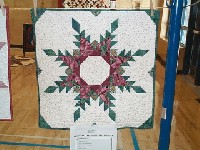 #552. Close Ups - 2nd clothes line (green snow flake)