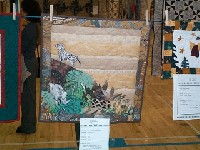 #561. Close Ups - 1 st clothes line (jungle with animals)