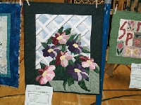 #575. Close Ups - 1 st clothes line (flowers)