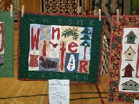 #578. Close Ups - 1 st clothes line (winter welcome)