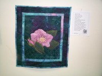 I just wanta quilt!