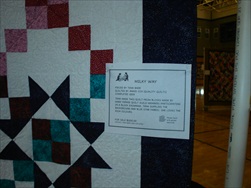 2010 Quilt Show - Quilt Info Pages!