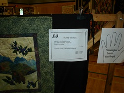 2010 Quilt Show - Quilt Info Pages!