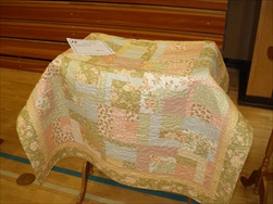 2010 Quilt Show - The Quilts!