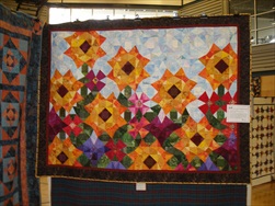 2010 Quilt Show - The Quilts!