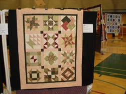 2010 Quilt Show - The Quilts!