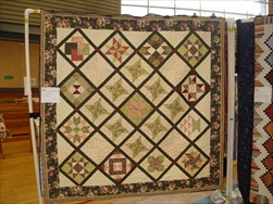 2010 Quilt Show - The Quilts!