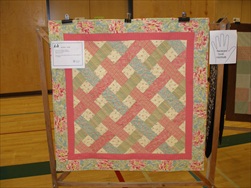 2010 Quilt Show - The Quilts!
