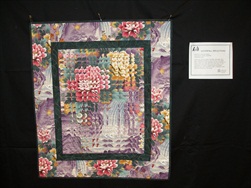 2010 Quilt Show - The Quilts!