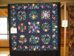 2010 Quilt Show - The Quilts!