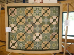 2010 Quilt Show - The Quilts!
