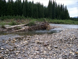 Fly Fishing in the Rocky Mountains (Fernie BC)