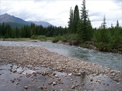 Fly Fishing in the Rocky Mountains (Fernie BC)