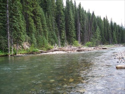 Fly Fishing in the Rocky Mountains (Fernie BC)