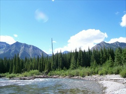 Fly Fishing in the Rocky Mountains (Fernie BC)
