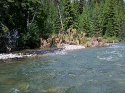 Fly Fishing in the Rocky Mountains (Fernie BC)