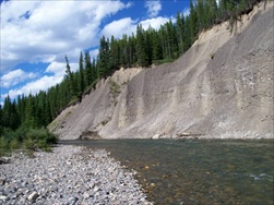 Fly Fishing in the Rocky Mountains (Fernie BC)