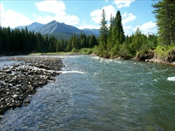 Fly Fishing in the Rocky Mountains (Fernie BC)