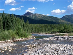 Fly Fishing in the Rocky Mountains (Fernie BC)