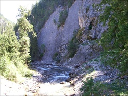 Fly Fishing in the Rocky Mountains (Fernie BC)