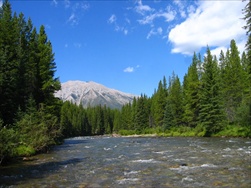 Fly Fishing in the Rocky Mountains (Fernie BC)
